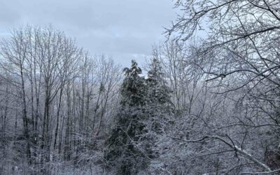 Let Winter Hold You at Kumari of the Woods