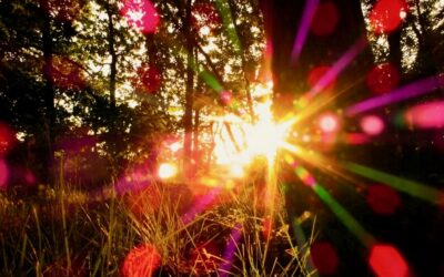 Solstice Sound Event – June 21st 4pm-6pm